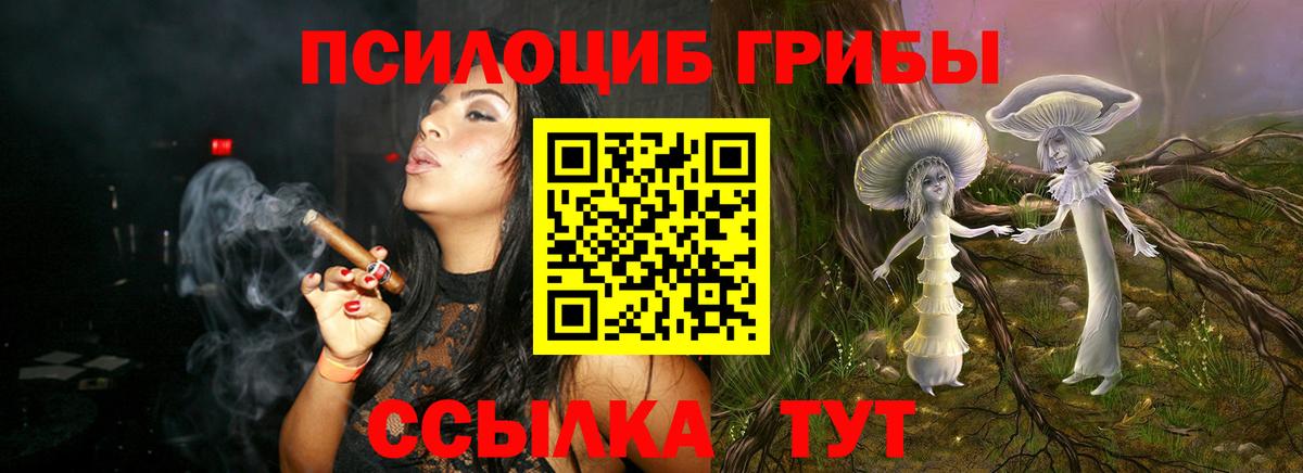 Лянтор  Галлюциногенные грибы Psilocybine cubensis  Вход с VPN 
